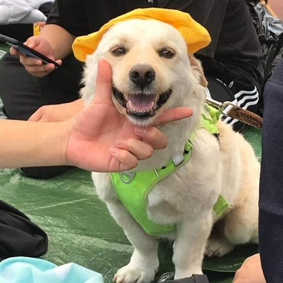 이미지